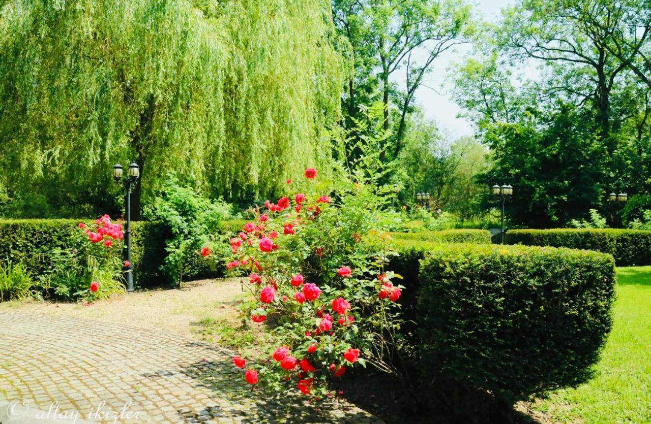 L'Eveil Bed & Breakfast La Louviere Exterior photo